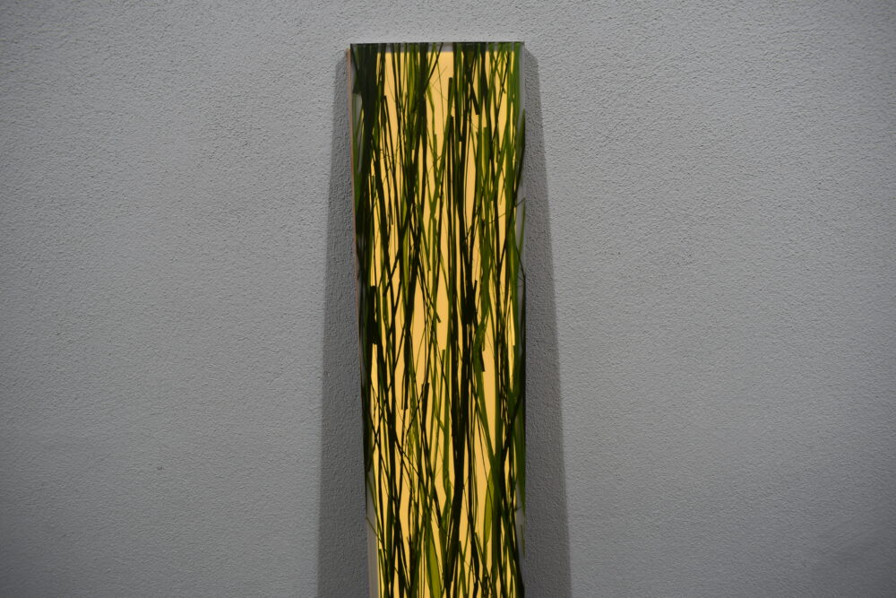 Panel in Grasoptik/Lampe 170x1655x25mm grün