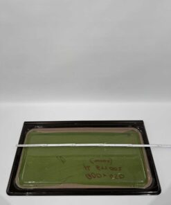 Dethleffs Ausstellscheibe 955x525mm ParaPress D2162 braun – Bild 7