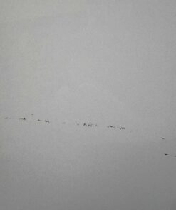 Niesmann + Bischoff Aufbautür 1930x650mm weiß – Bild 7